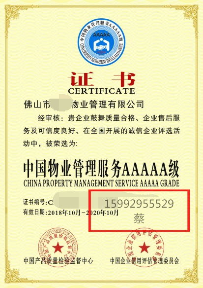 深圳辦公服務 高效解決方案引領未來工作方式